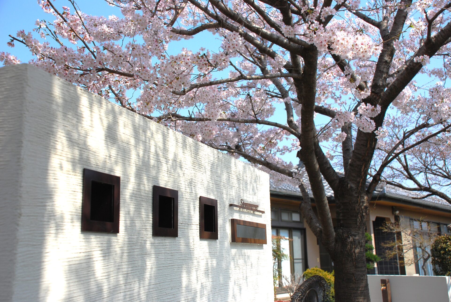 深谷市　桜の木をメインに御影石を使用した和モダンな外構の門柱