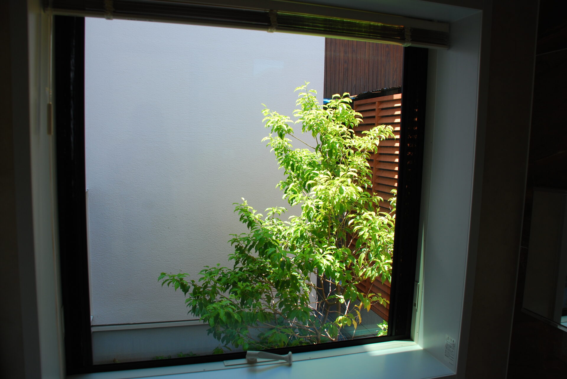 加須市の真白い壁と直線デザイン、植栽が美しい家を引き立てるシンプルを極めたオープン外構の中庭