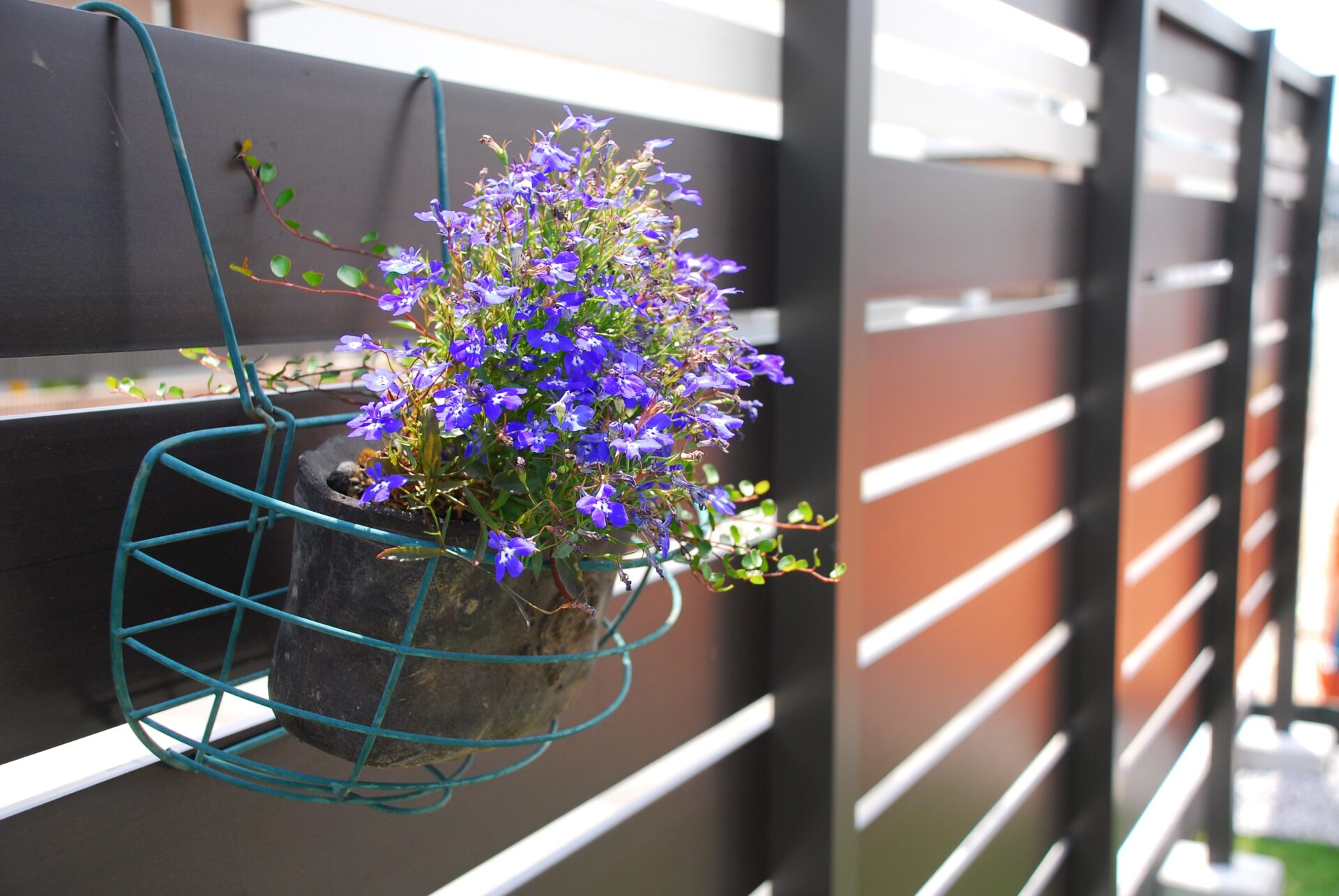 鴻巣市のシンプル外構の茶色と白の目隠しフェンスとお花の施工事例